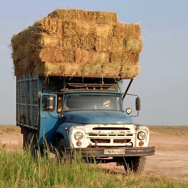 АвтоВсячина