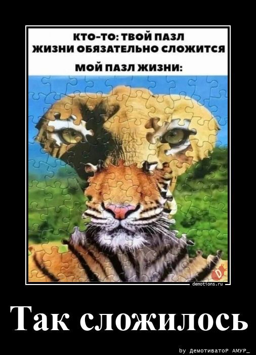 Позитивные демотиваторы