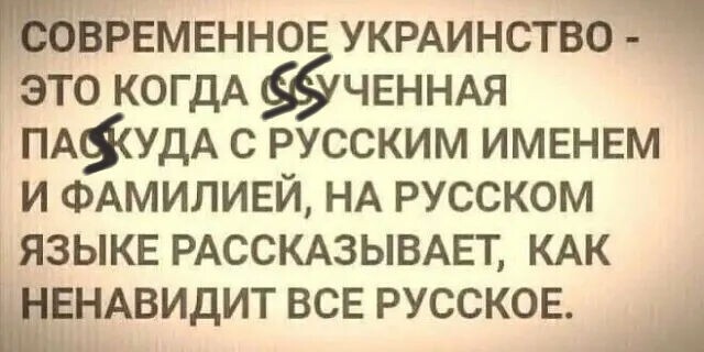 Грузы-200 летят в Европу: три точных удара вывели из строя элиту ВСУ и НАТО