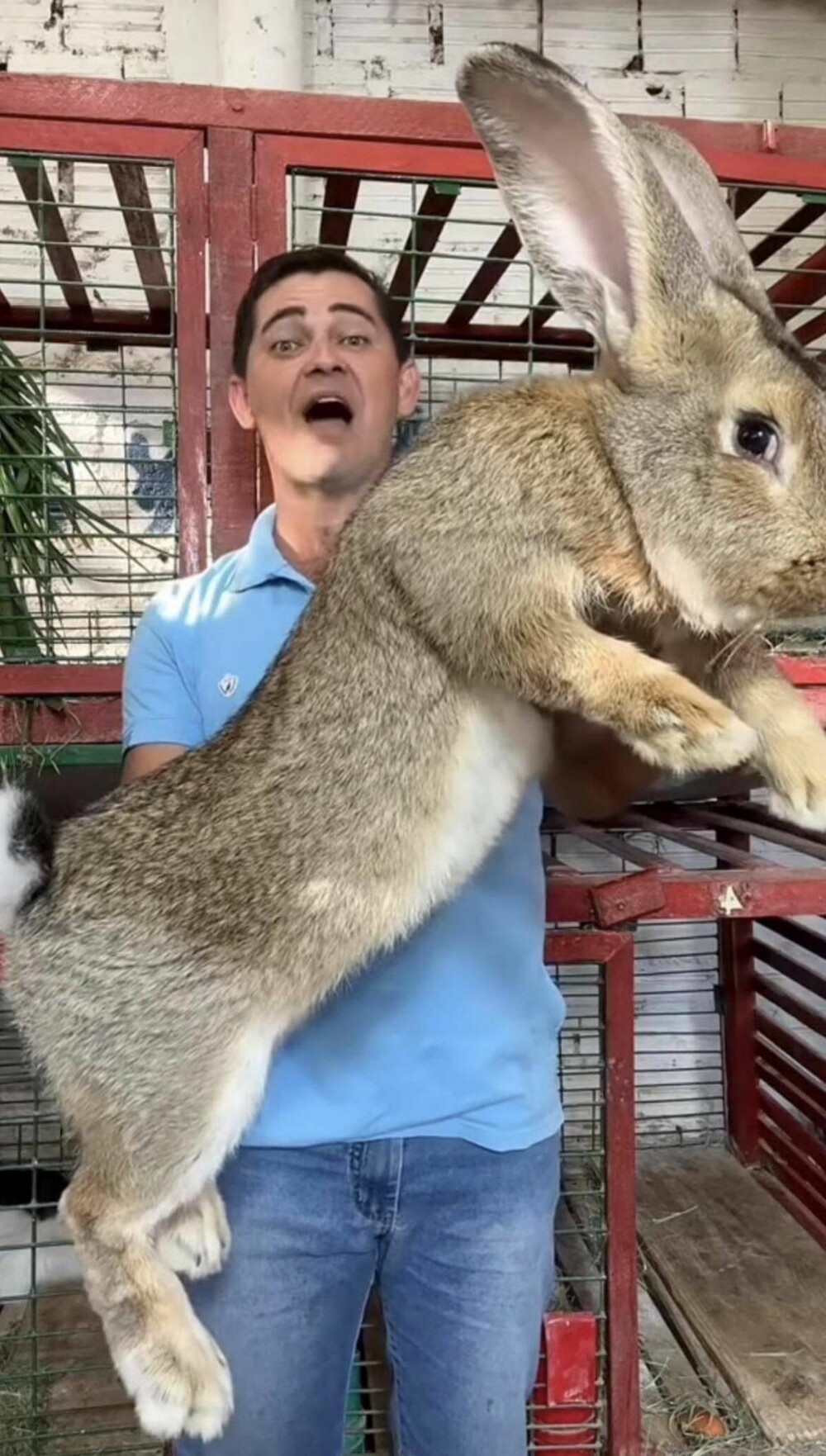 На общую тему&nbsp;