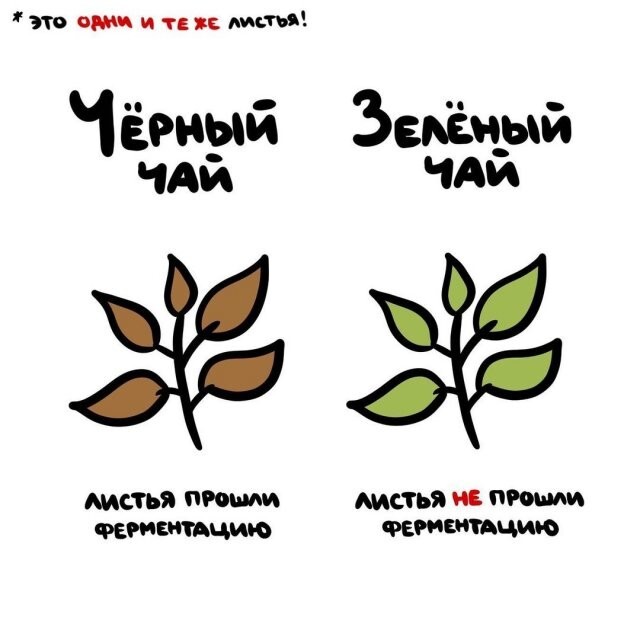 А вдруг ты не знал…