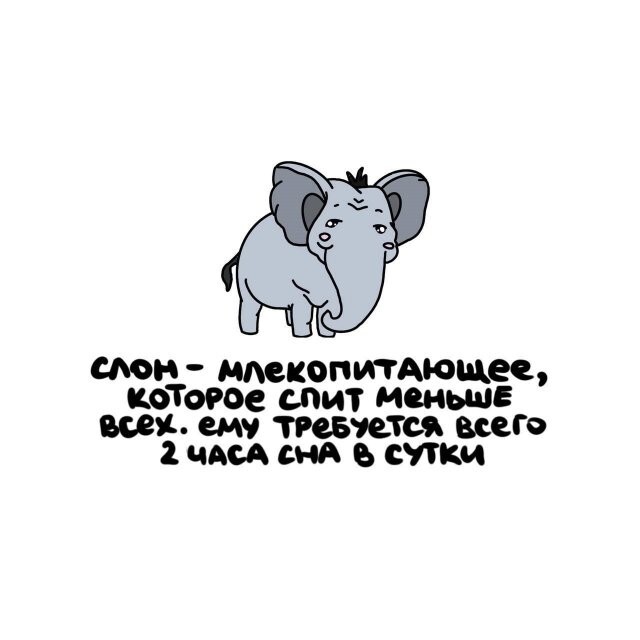 А вдруг ты не знал…