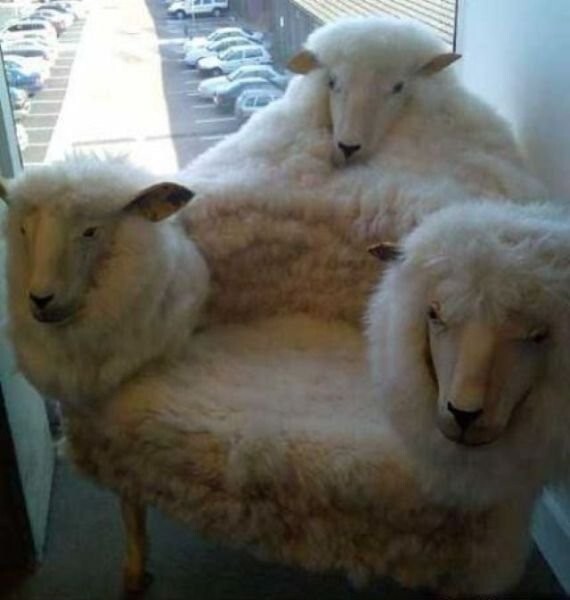 Намешалось
