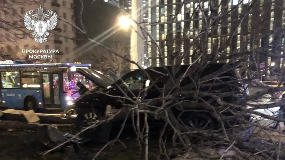 Водителя оштрафовали на 600 000 рублей за сломанный каштан