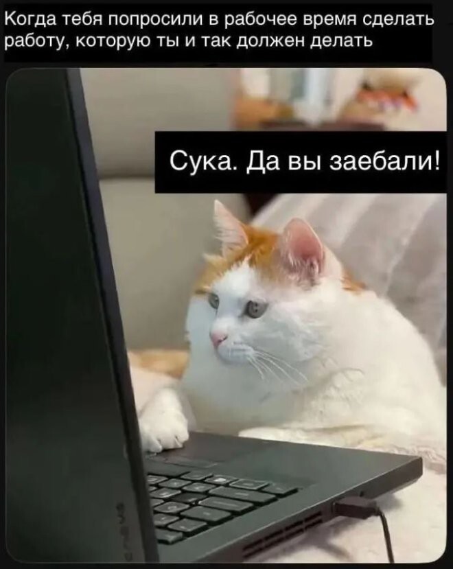 Смешные картинки