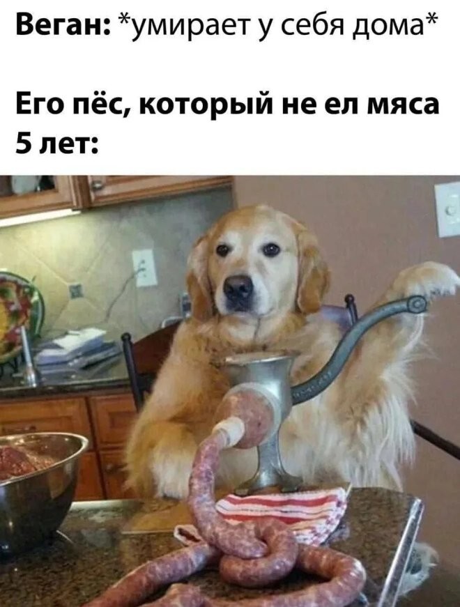 Смешные картинки