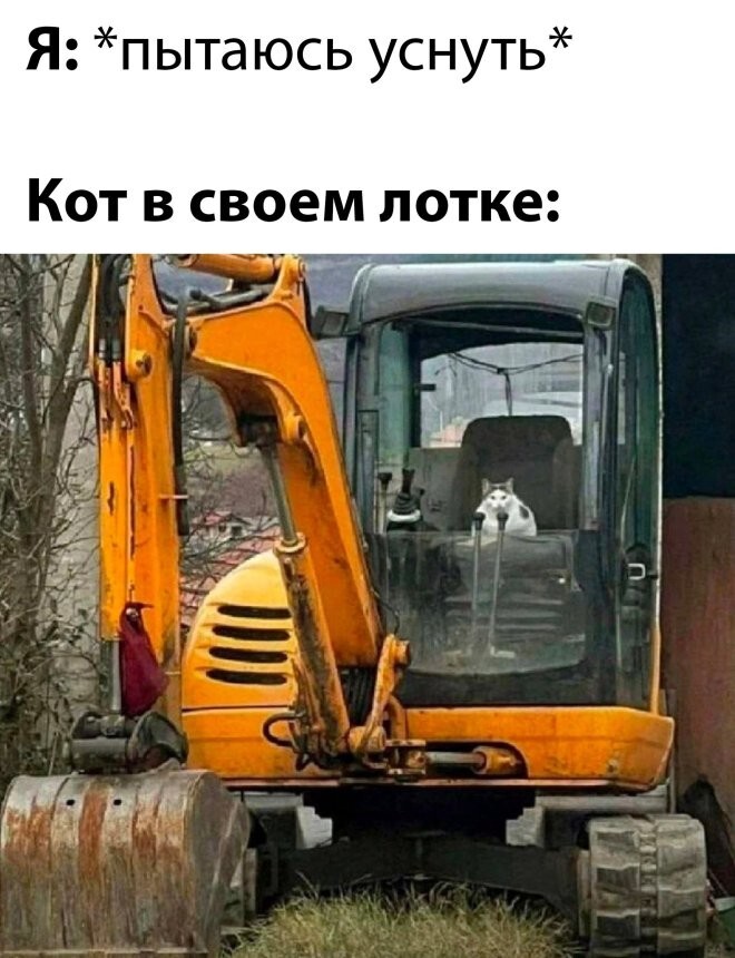 Смешные картинки