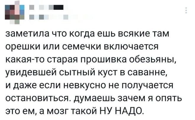 Смешные картинки