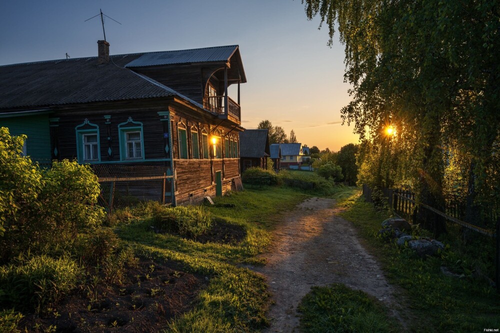 Солянка