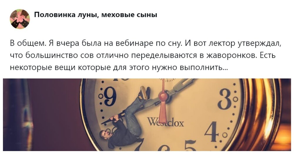 «Давайте переделаем жаворонков под сов!»: пользователи пытаются понять, можно (и нужно) ли изменить свой хронотип за две недели
