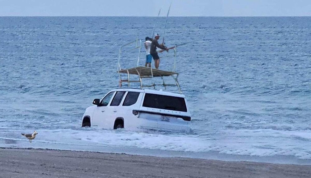 На общую тему&nbsp;