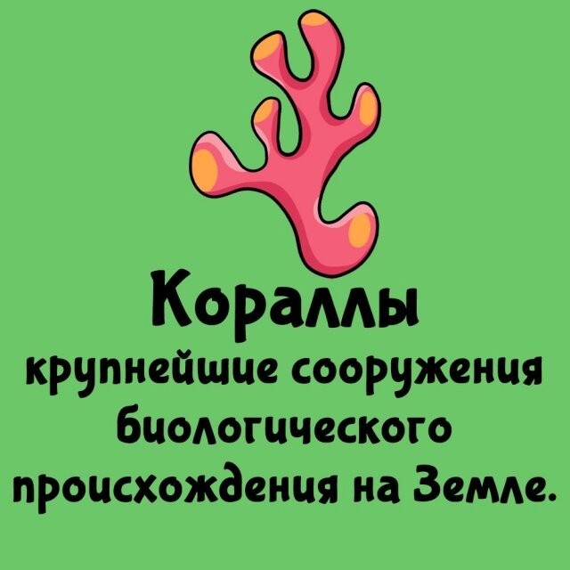 А вдруг ты не знал…
