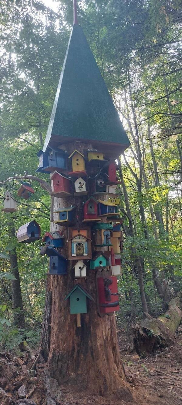 &nbsp;Намешалось&nbsp;