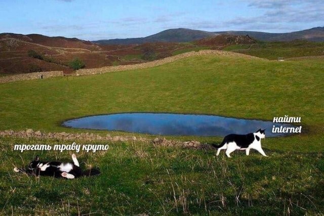&nbsp;Намешалось&nbsp;