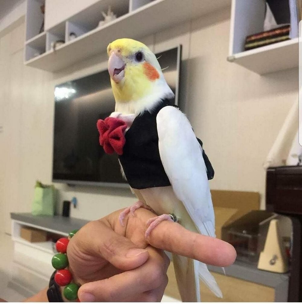 На общую тему&nbsp;