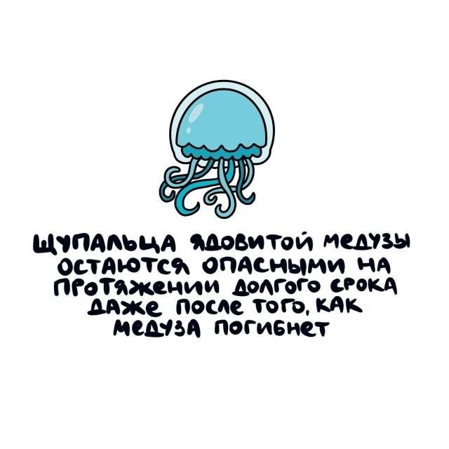А вдруг ты не знал…