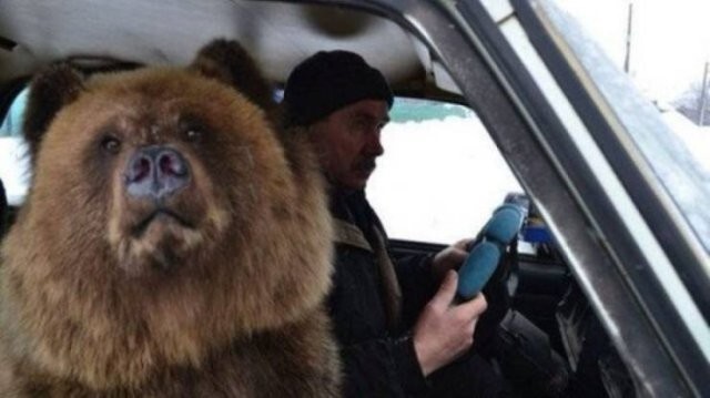 Намешалось