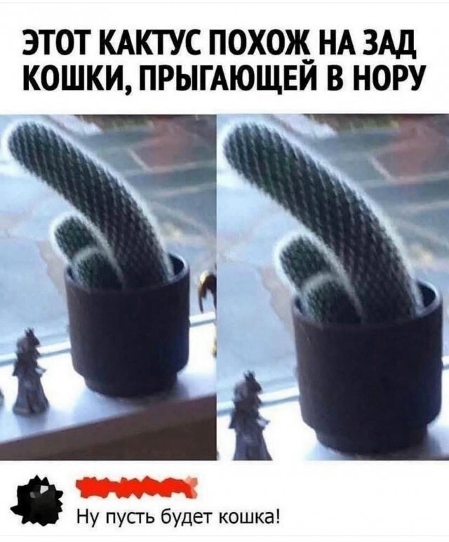 Большая тарелка улыбатора