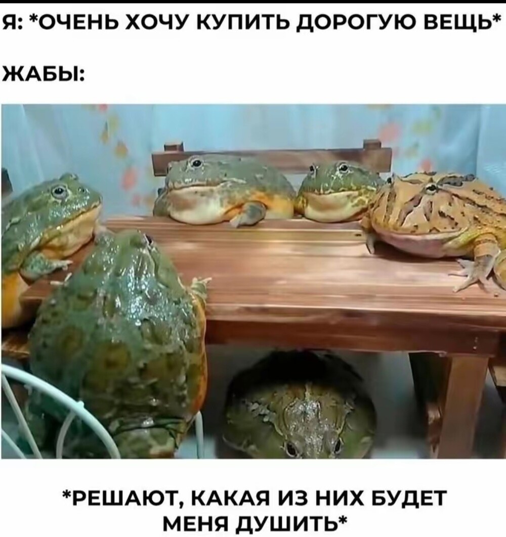 Большая тарелка улыбатора