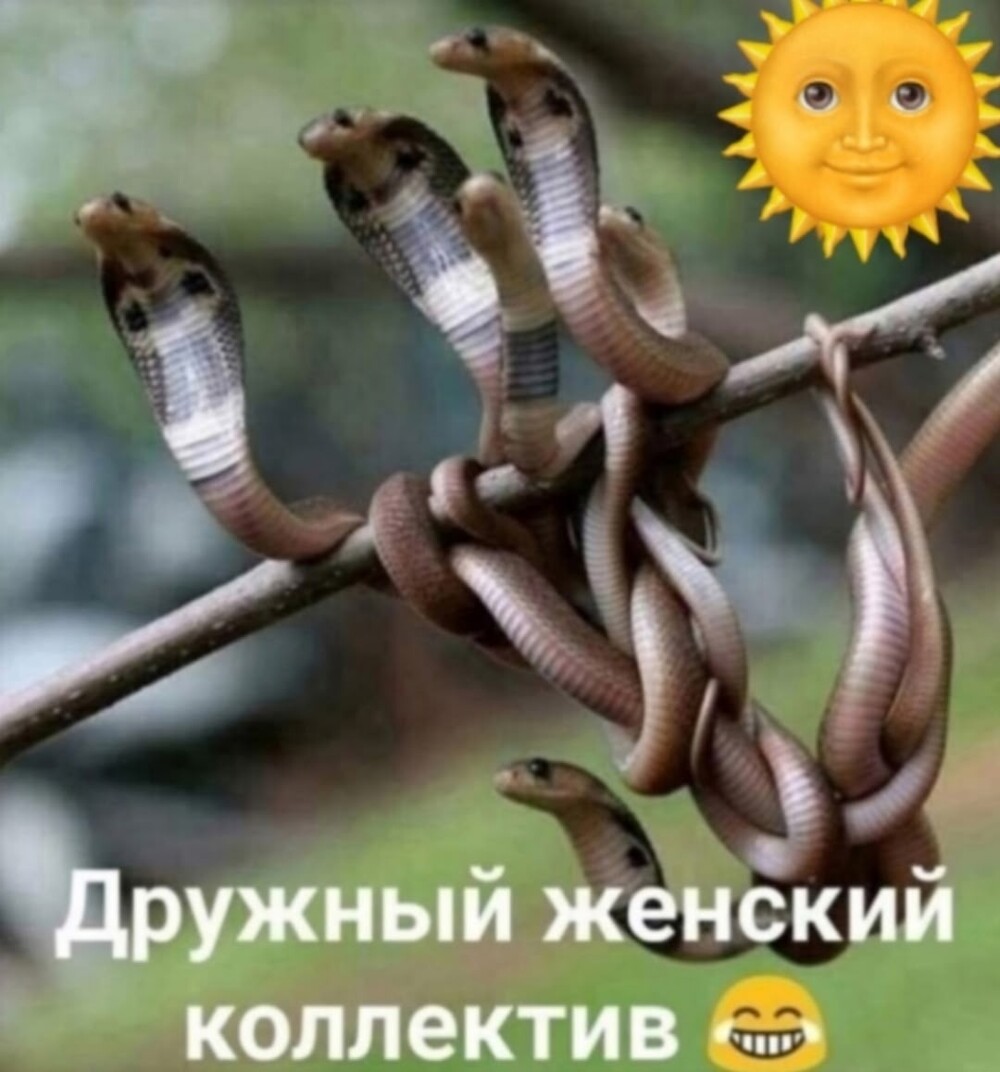 Большая тарелка улыбатора