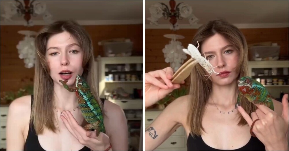 Девушка завела хамелеона и сделала необычный обзор на питомца