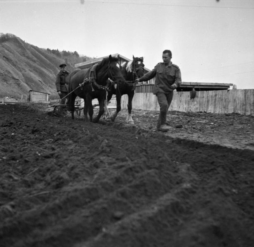 Пограничники. «Чтоб не забыть главное в мирной жизни». Автор: Юрий Садовников. Сахалинская область.