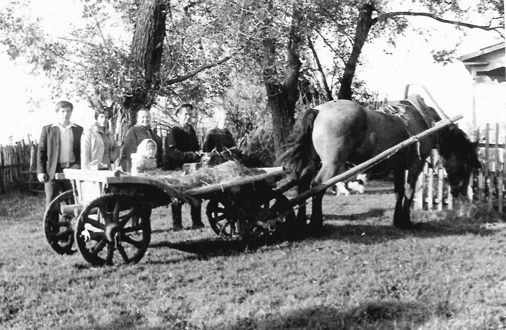 Лошадь с повозкой у дома. 1979–1980 годы. Неизвестный автор.