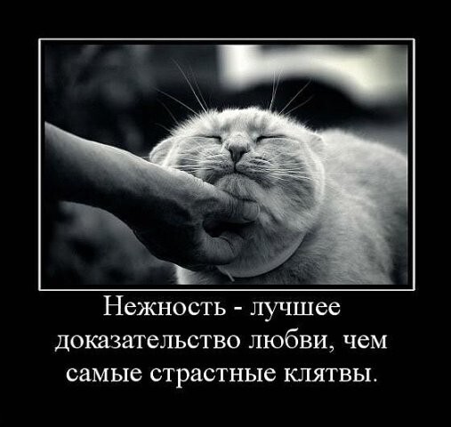 Демотиваторы от 2010 года