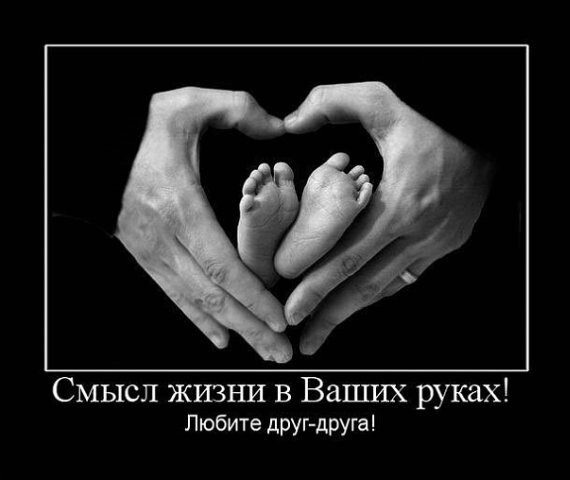 Демотиваторы от 2010 года