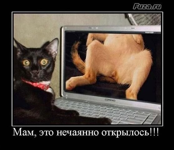 Демотиваторы от 2010 года