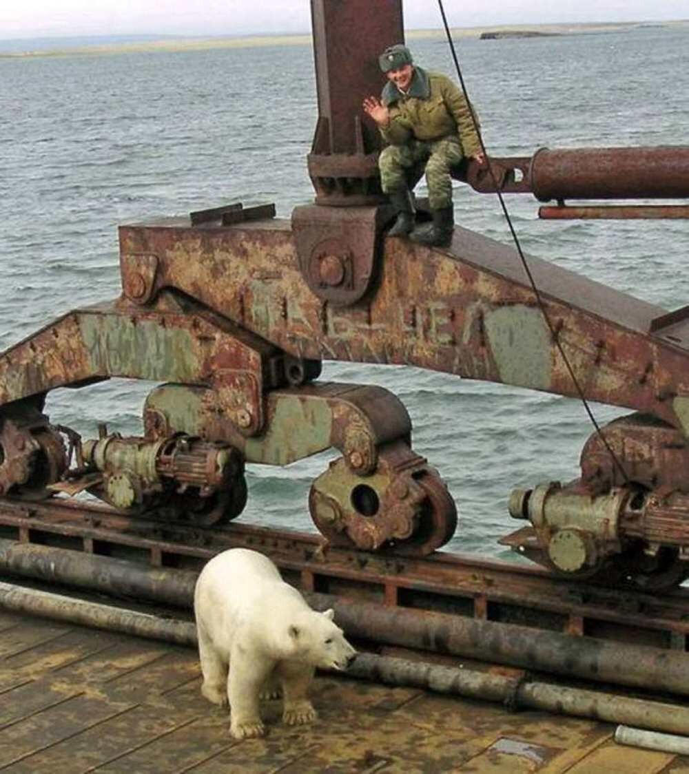 На общую тему&nbsp;