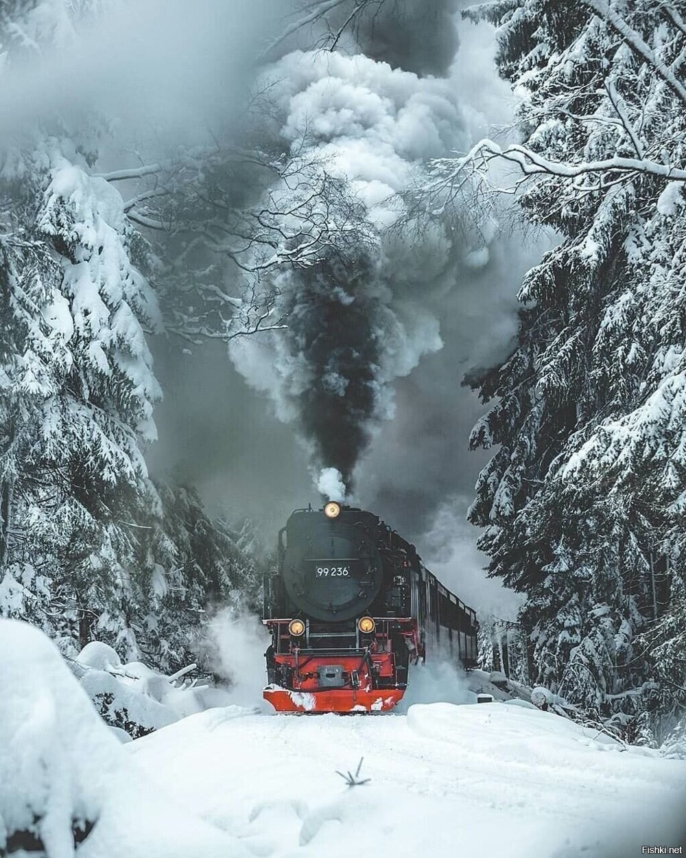 Солянка