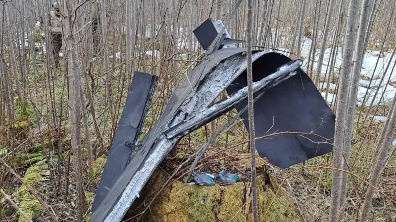 Украина атаковала Прибалтику