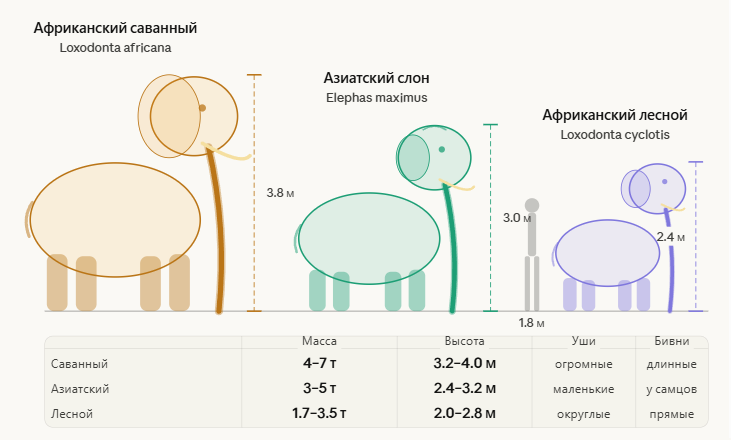 Лесной слон