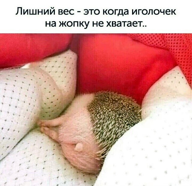 33 прикола