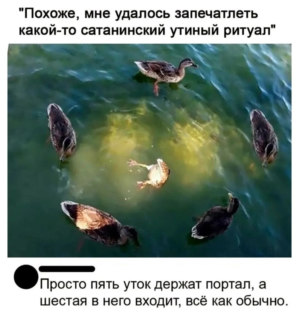 33 прикола