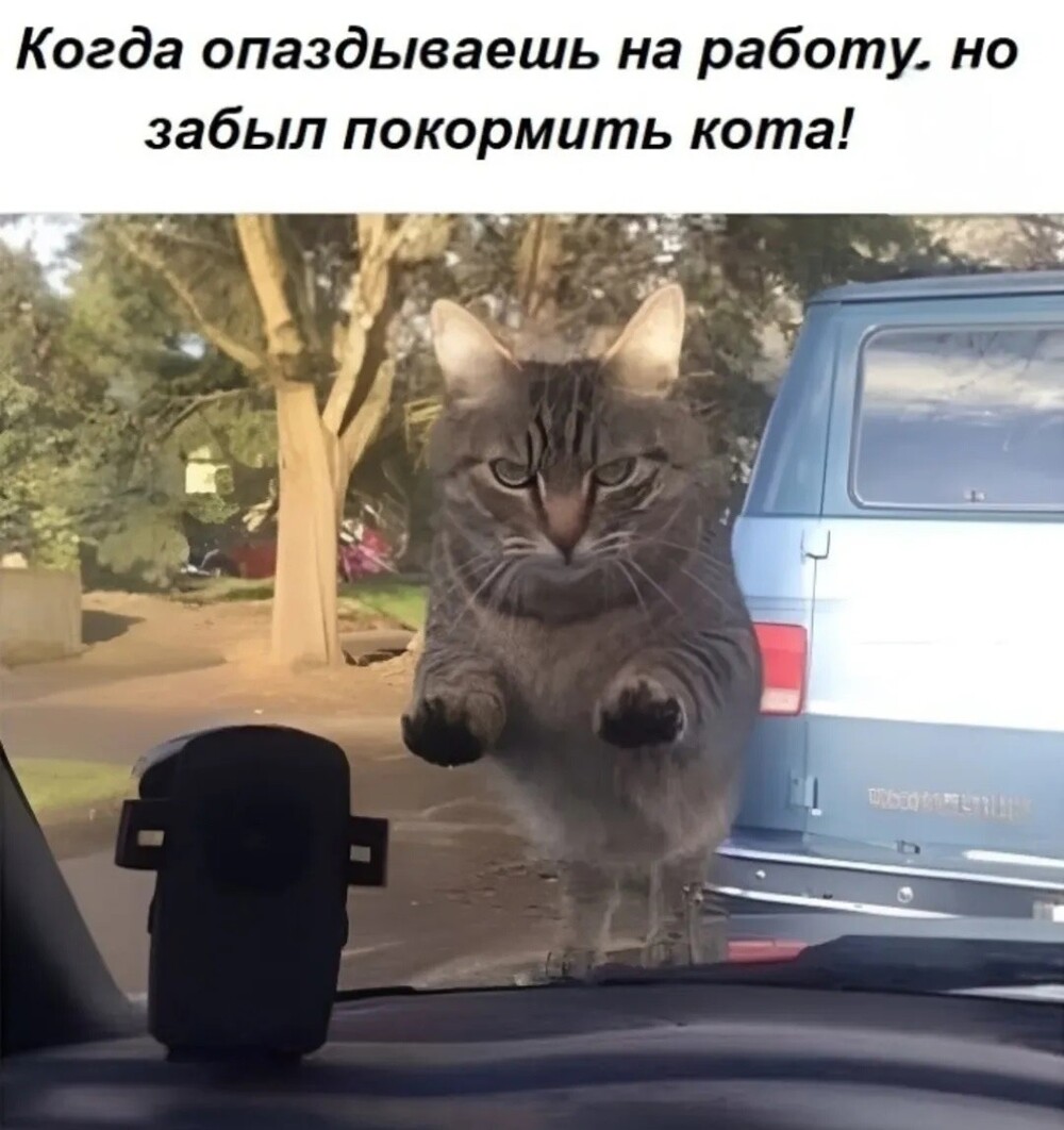 33 прикола