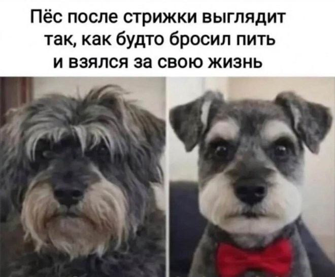 Смешные картинки