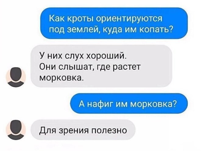 Смешные картинки