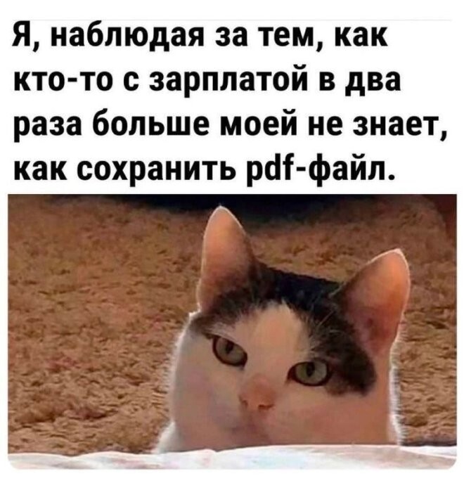 Смешные картинки