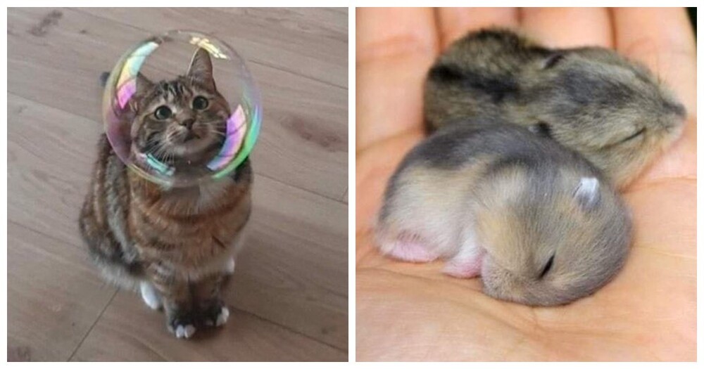 20+ моделей, фотогеничности которых можно только позавидовать