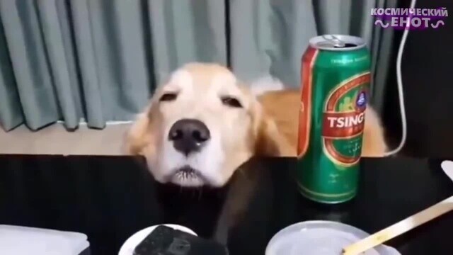 Кубики пятницы 