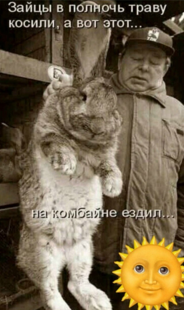 33 прикола