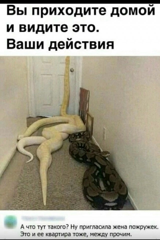 33 прикола