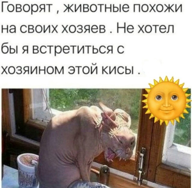 33 прикола