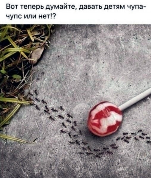 33 прикола