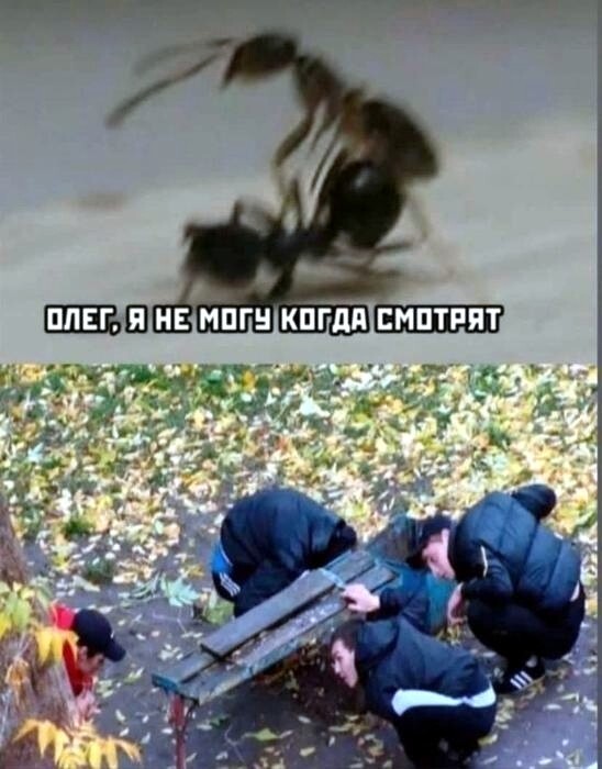 33 прикола