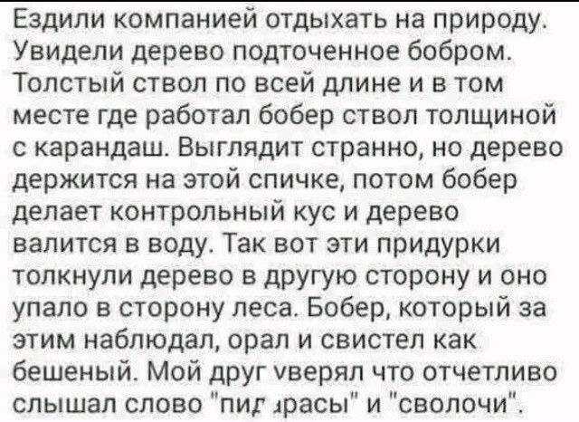 33 прикола