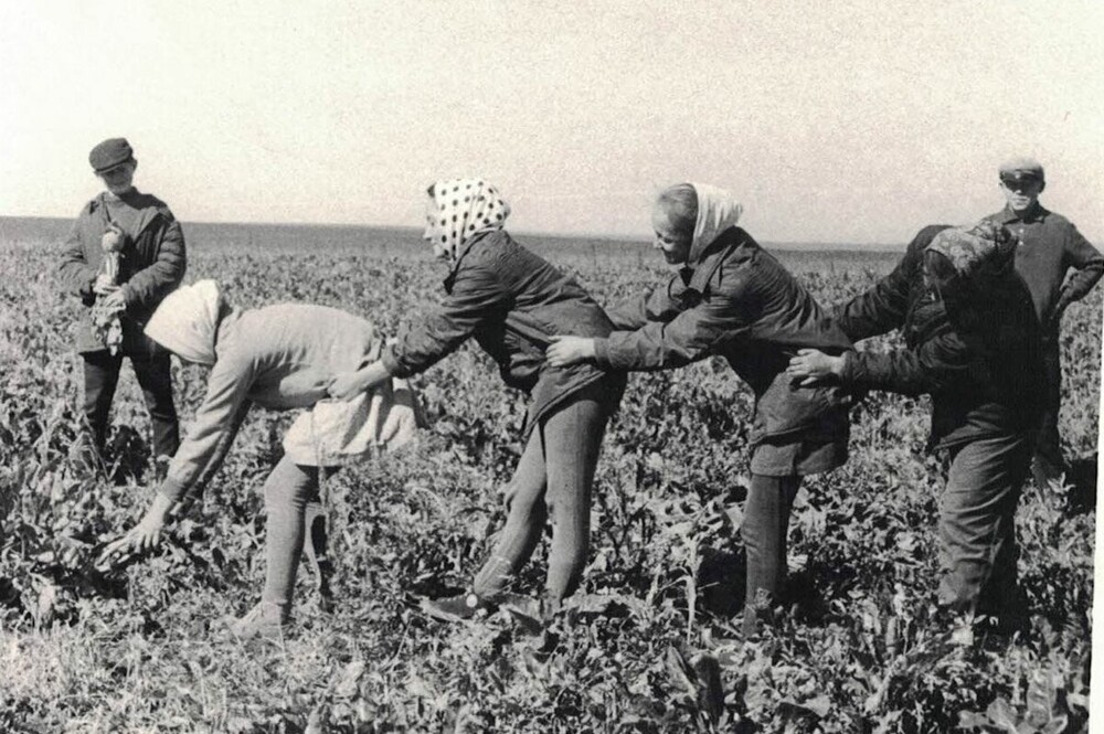 Интересные фотографии времен СССР. № 800