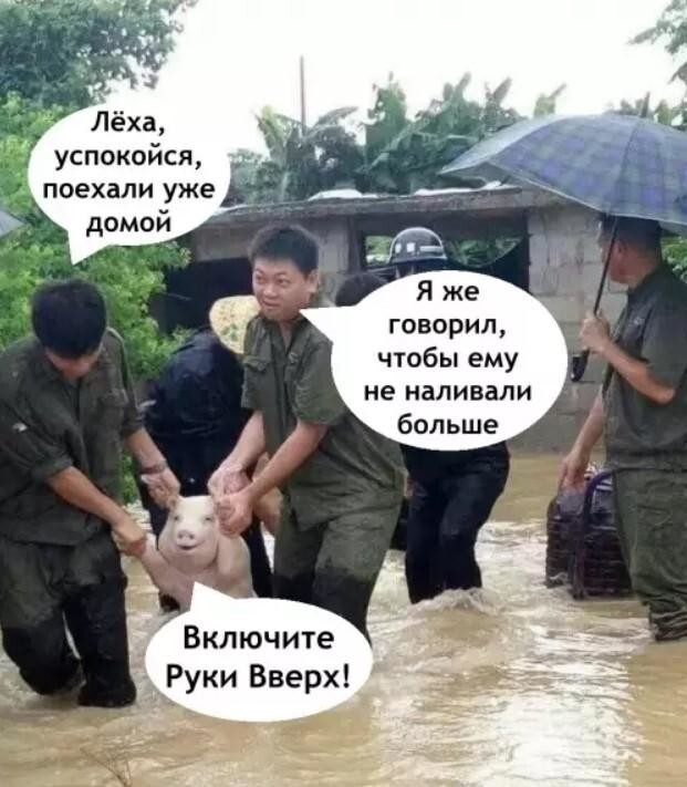 Смешные картинки